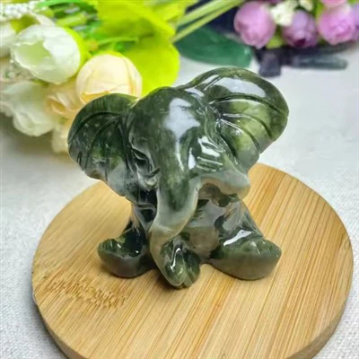 পশু সম্পর্কিত আইটেম